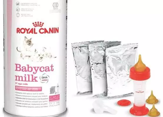 harga royal canin milk babycat