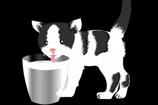 susu manusia untuk kucing