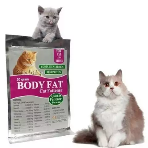 vitamin agar kucing gemuk