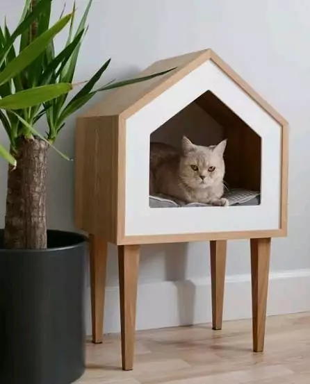 kandang kucing kayu sederhana