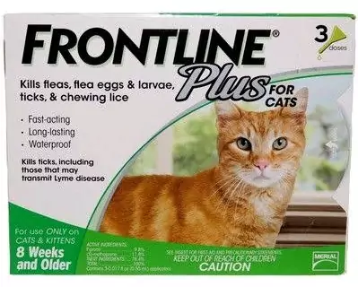 frontline obat kutu kucing di apotik