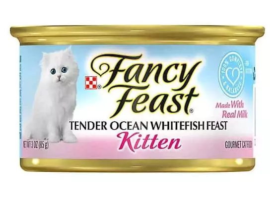 fancy feast kitten