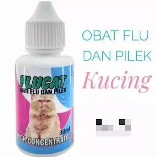 obat kucing flu di apotik