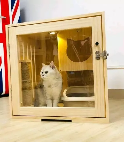 kandang kucing kayu pake kaca