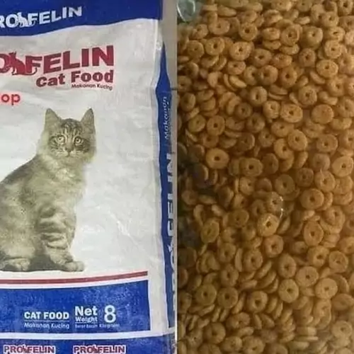 review makanan kucing profelin dryfood