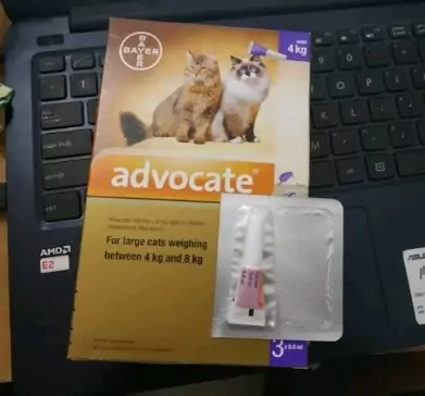 advocate obat kutu kucing di apotik