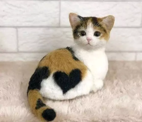 gambar kucing comel
