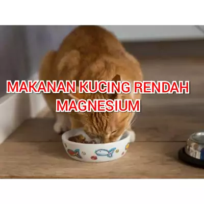 makanan kucing rendah magnesium